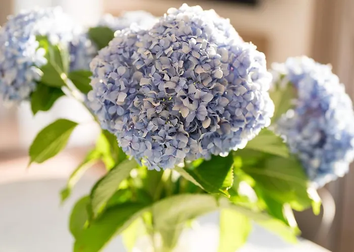 Διαμέρισμα Dn Art Royale - D First Floor With View Terrace And Hot Tub - N Ground Floor With Internal Whirpool Blevio