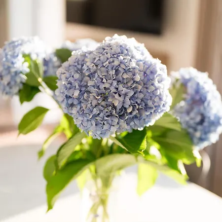 Apartment Dn Art Royale - D First Floor With View Terrace And Hot Tub - N Ground Floor With Internal Whirpool Blevio